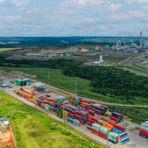Las exportaciones de celulosa y papel en la Terminal de Contenedores de Paranaguá alcanzan un nuevo máximo en el primer trimestre